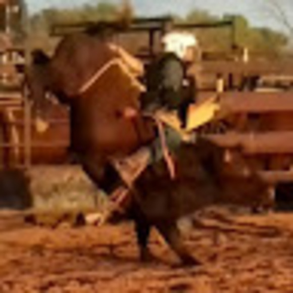 robbietaylor543